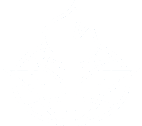 VAVTlogo